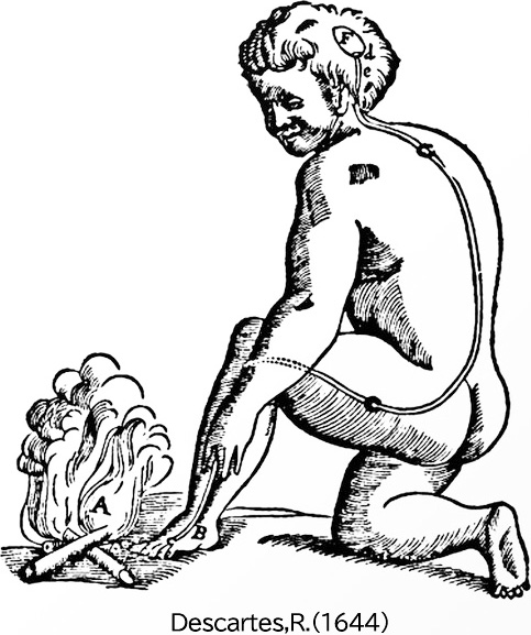 Descartes,R.(1644)