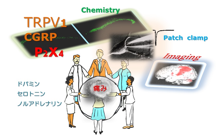 痛みの研究の歴史